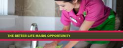 Better Life Maids Green Cleaning Franchise & Low Cost Franchise Opportunity